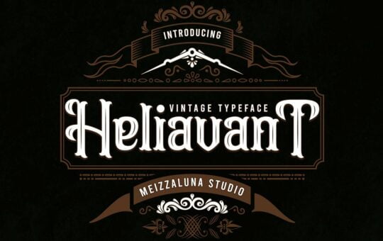 Heliavant-Vintage-Typeface-1.jpg