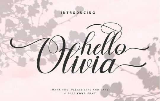 Hello-Olivia-Modern-Calligraphy-Font-1.jpg