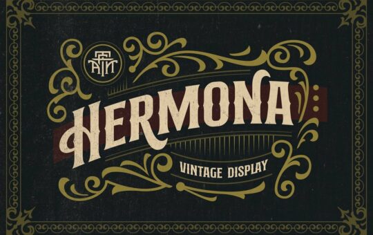 Hermona-Vintage-Display-Font.jpg