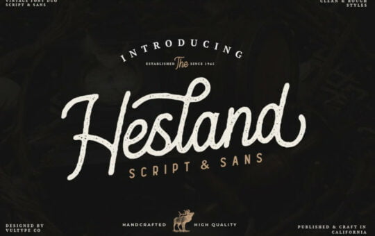 Hesland-Vintage-Font-Duo.jpg