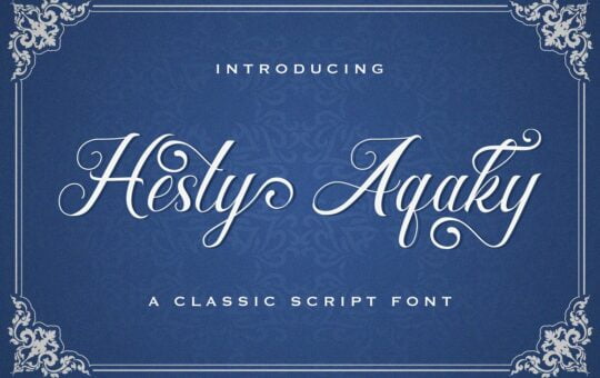 Hesty-Aqaky-Modern-Script-Font-1.jpg
