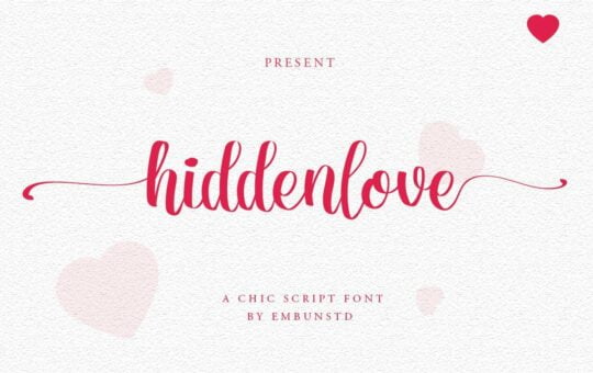 Hiddenlove-Calligraphy-Script-Font-1.jpg