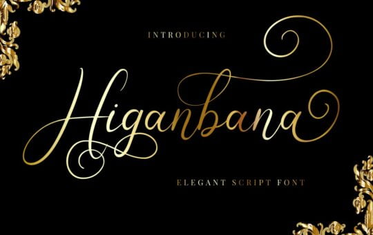 Higanbana-Font.jpg
