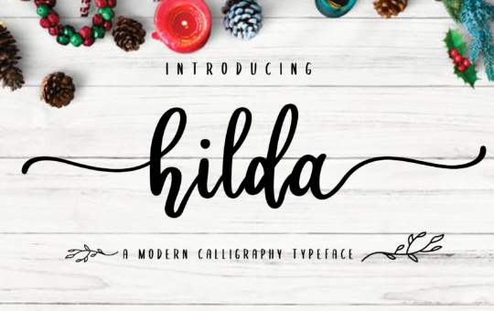 Hilda-Modern-Calligraphy-Font-1.png