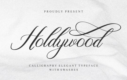 Holdywood-Calligraphy-Font-1.jpg