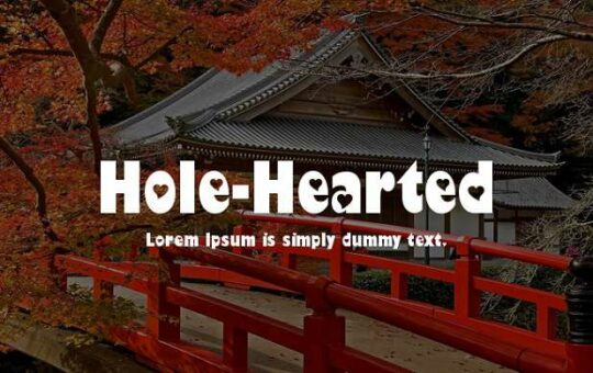 Hole-Hearted-font.jpg