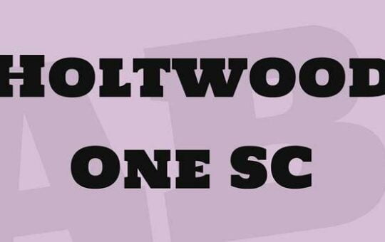 Holtwood-One-SC.jpg