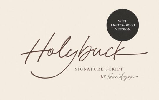 Holybuck-Signature-Script-Font.jpg