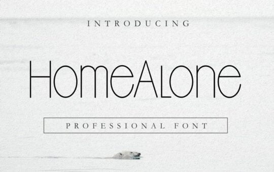Home-Alone-Sans-Seri-Font-1.jpg