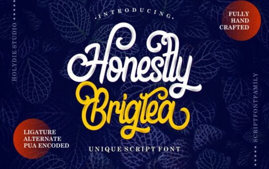 Honestly-Brigtea-Script-Font-1.jpg