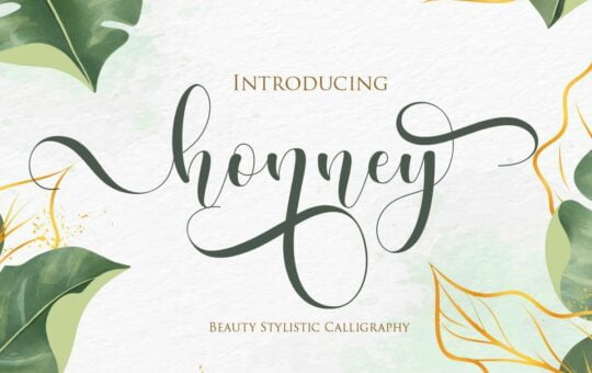 Honney-Modern-Calligraphy-Script-Font-1.jpg