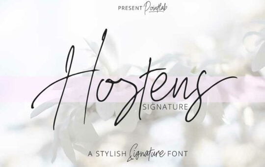 Hostens-Signature-Font-1.jpg