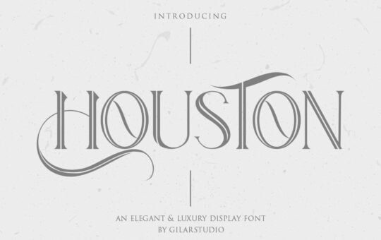 Houston-Serif-Font-1.jpg