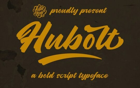 Hubolt-Bold-Script-Font-1.jpg