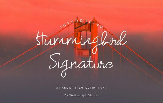 Humming_bird_Script_Font_Wellscript_Studio_031119_preview1.jpg