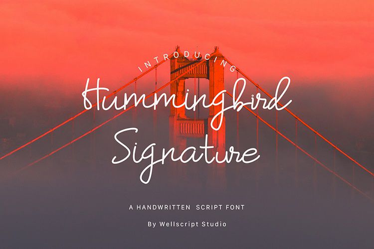 Humming_bird_Script_Font_Wellscript_Studio_031119_preview1.jpg