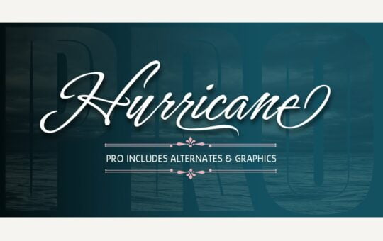 Hurricane-Calligraphy-Script-Font-1.jpg
