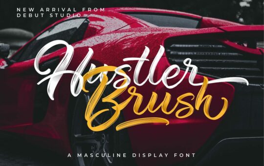 Hustler-Brush-Script-Font-1.jpg
