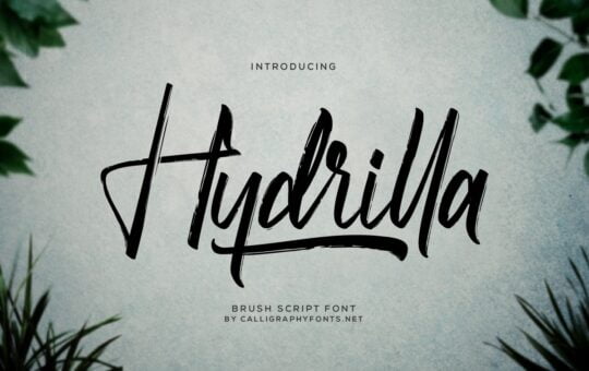 Hydrilla-Font.jpg
