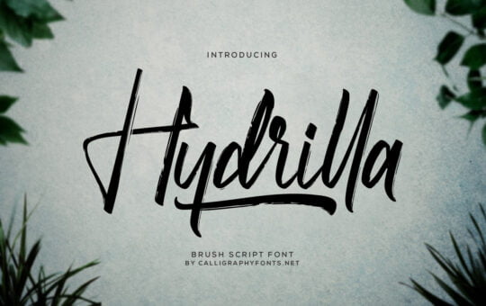 Hydrilla-Textured-Brush-Font-1.jpg