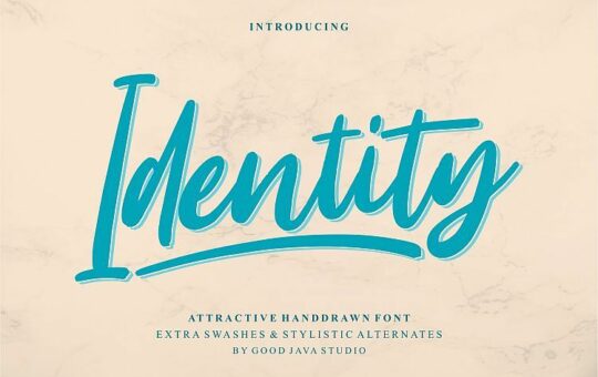 Identity-Script-Font.jpg