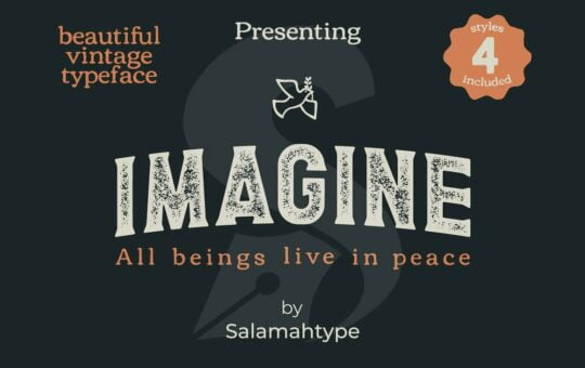 Imagine-Vintage-Serif-Font-1.jpg