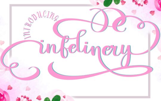 Infelinery-Handwritten-Script-Font-1.jpg