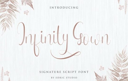 Infinity-Gown-Calligraphy-Script-Font-1.jpg