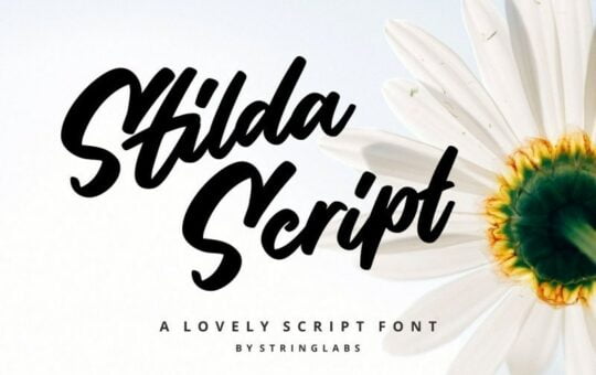 Introducing-Stilda-Lovely-Script-Font.jpg