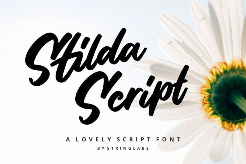 Introducing-Stilda-Lovely-Script-Font.jpg