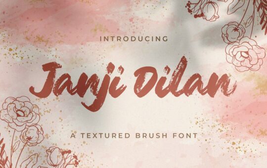 Janji-Dilan-Textured-Brush-Font-1.jpg