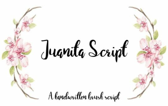 Juanita-Script-Font.jpg
