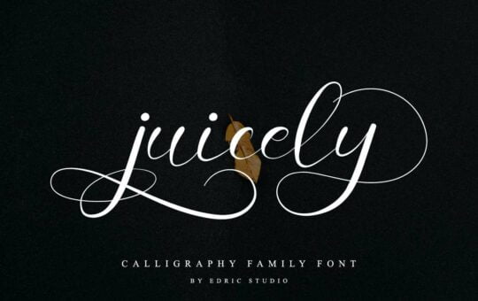 Juicely-Calligraphy-Script-Font-1.jpg