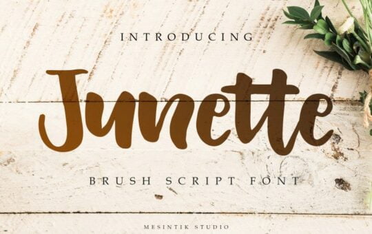 Junette-Script-Font-1.jpg