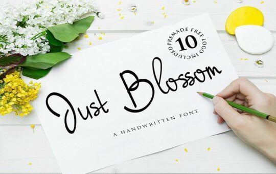 Just-Blossom-Handwritten-Font.jpg