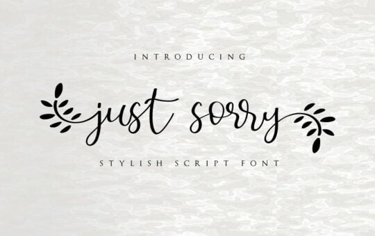 Just-Sorry-Calligraphy-Script-Font-1.jpg