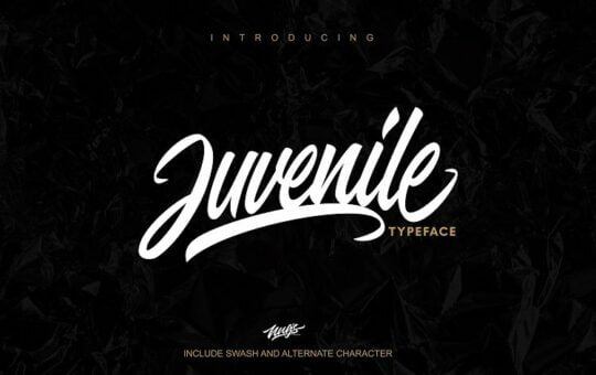 Juvenile-Script-Font.jpg