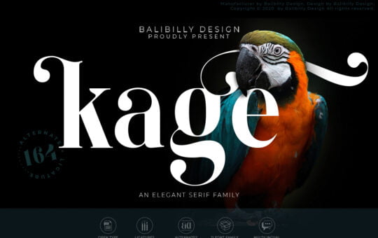 Kage-An-Elegant-Serif-Typeface-1.jpg