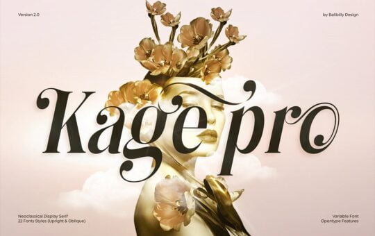 Kage-Pro-Serif-Font-1.jpg