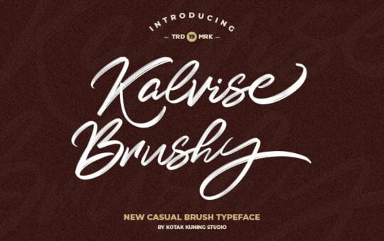 Kalvise-Brushy-Script-Font.jpg