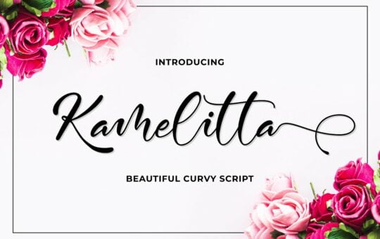 Kamelitta-Beautiful-Curvy-Script-Font-1.jpg