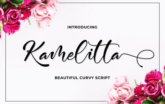 Kamelitta-Curvy-Script-Font-1.jpg
