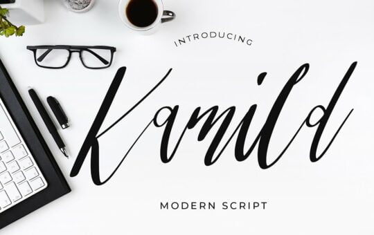 Kamild-Modern-Calligraphy-Font-1.jpg
