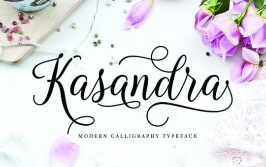 Kasandra-Calligraphy-Font.jpg