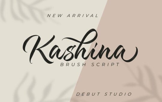 Kashina-Brush-Script-Font-1.jpg