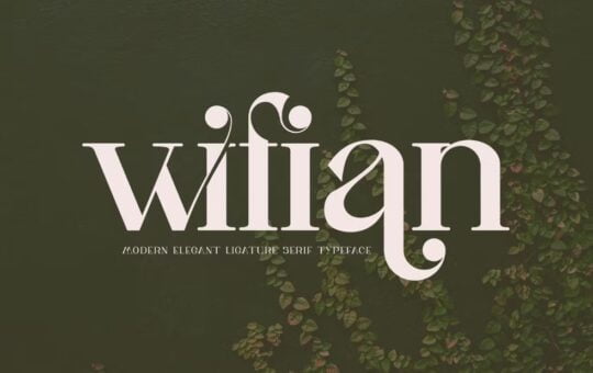 Kawai-Craft-Serif-Font-1.jpg