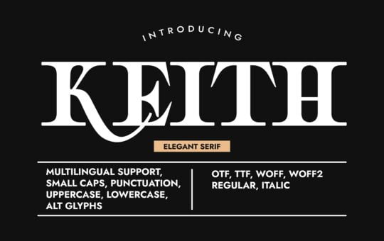 Keith-Pro-Serif-Typeface-1.jpg