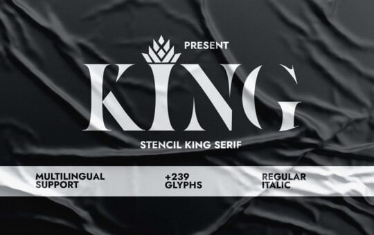 King-Modern-Serif-Font-1.jpg