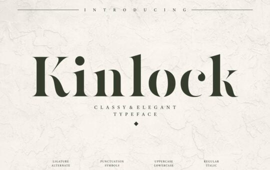 Kinlock-Elegant-Stencil-Serif-Font-1.jpg