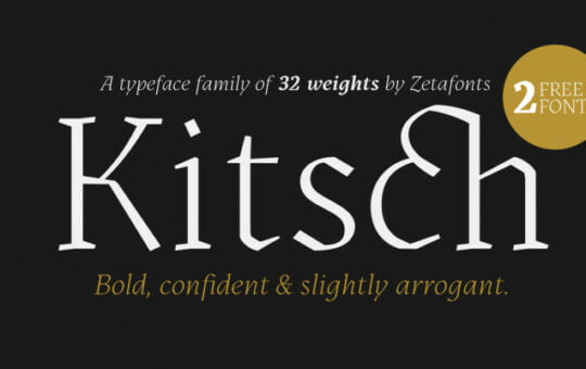 Kitsch-Serif-Font-Family.jpg